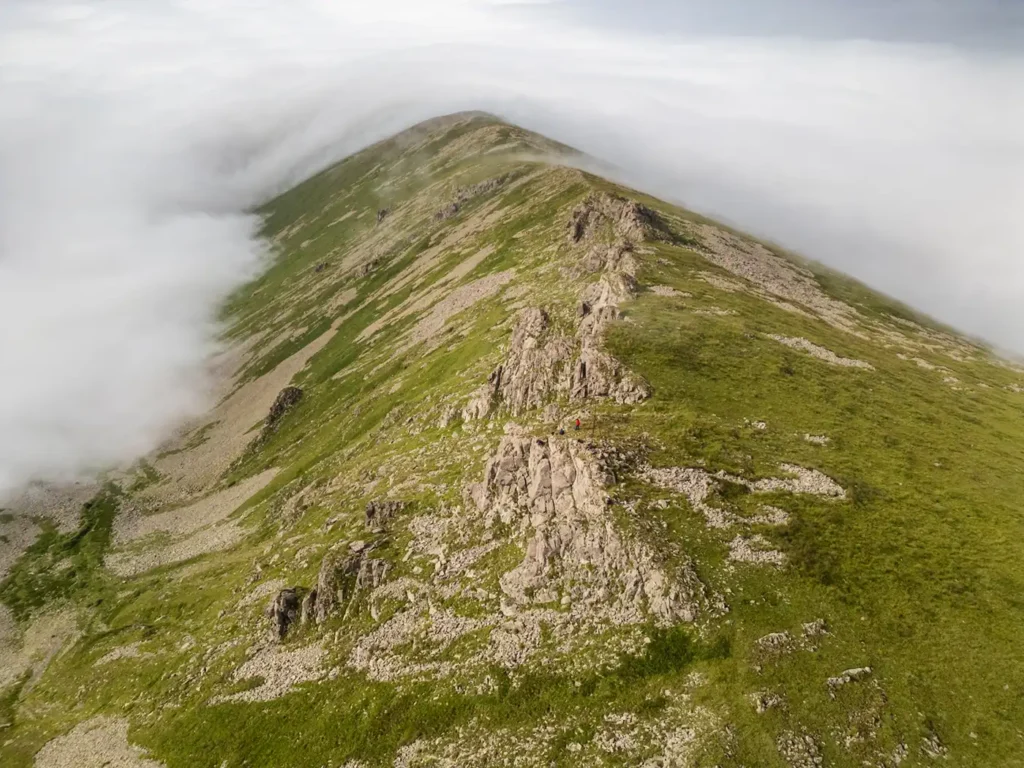 Bovakar, August 2024