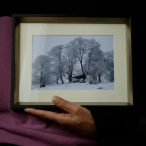 Fine Art Print 'The Winter Sovereign', Dilijan